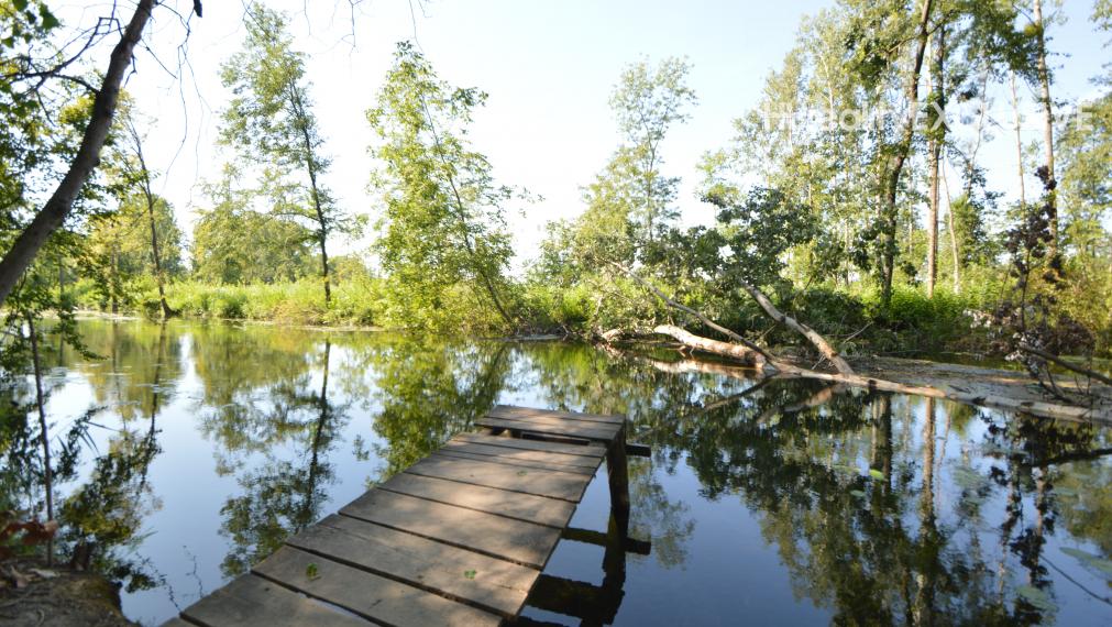 Predaj domu na 1 596 m2 pozemku v blízkosti ramena Dunaja, Dunasziget